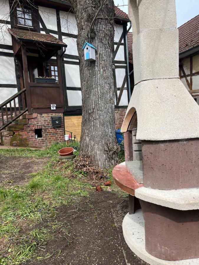 바트빌둔젠 Fachwerk In Bergfreiheit 아파트 외부 사진
